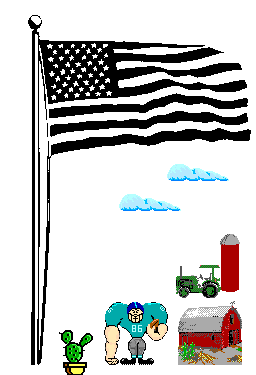 football and flag