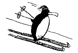 penguin on skis