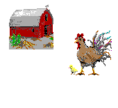 rooster and chick
