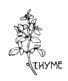 sprig of thyme